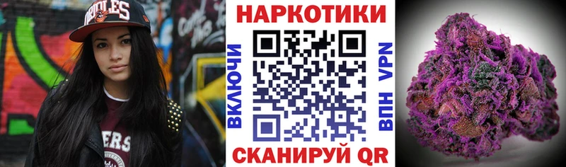 Наркошоп купить Кокаин  Alpha PVP  Псилоцибиновые грибы  Марихуана  МЕТАМФЕТАМИН  ГАШ  Меф  Россошь