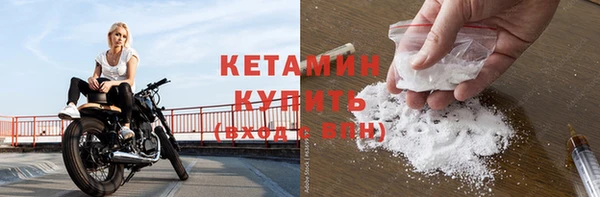 прущие грибы Ельня