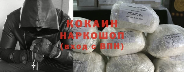 гидра Елизово