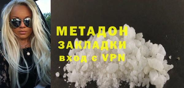 прущие грибы Ельня