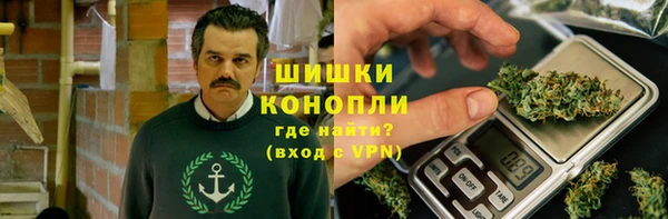 гидра Елизово