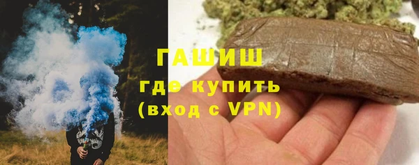 гидра Елизово