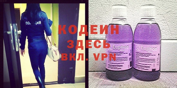прущие грибы Ельня