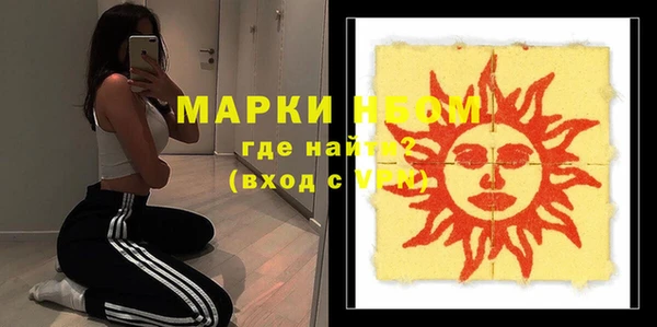 гидра Елизово