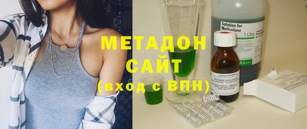 гидра Елизово