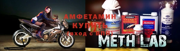 гидра Елизово