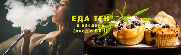 гидра Елизово