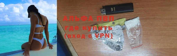 прущие грибы Ельня