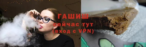 прущие грибы Ельня