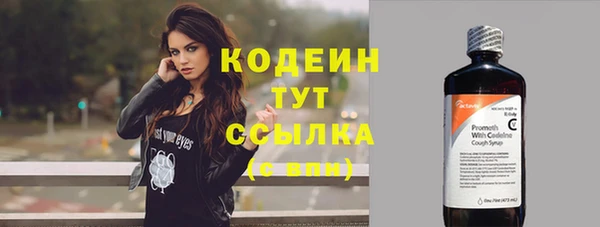 прущие грибы Ельня