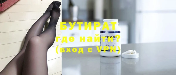 прущие грибы Ельня