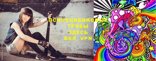 прущие грибы Ельня