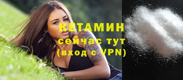 гидра Елизово
