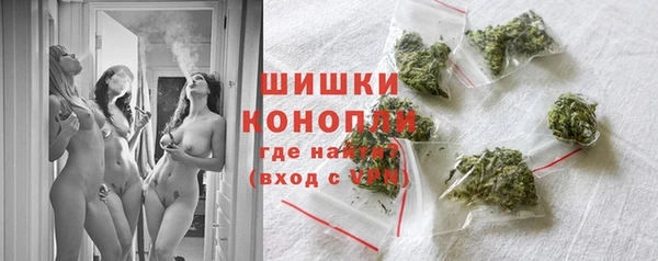 гидра Елизово